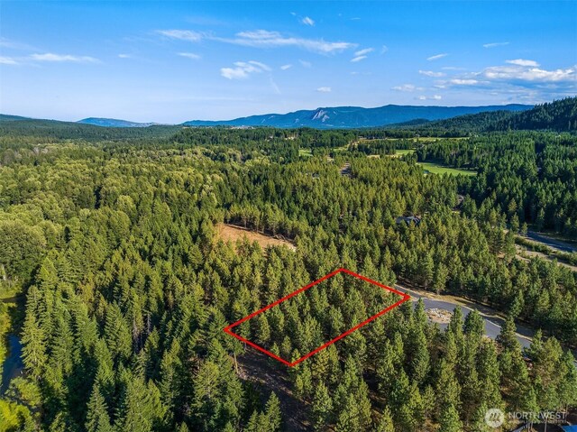951 Gold Leaf Ln, Cle Elum, WA 98922 - photo 10