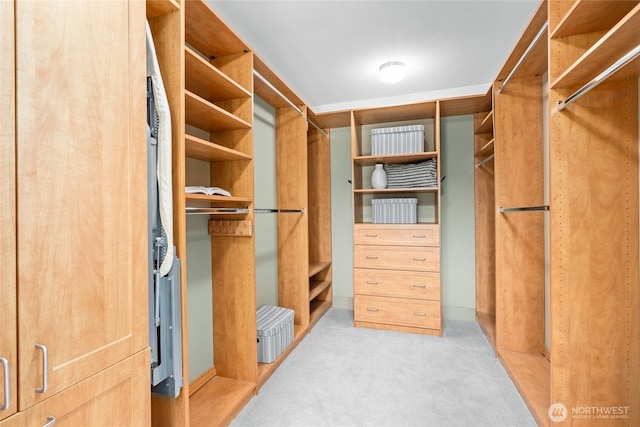 6801 Greenwood Ave N Unit 403, Seattle, WA 98103 - walk in closet featuring carpet flooring