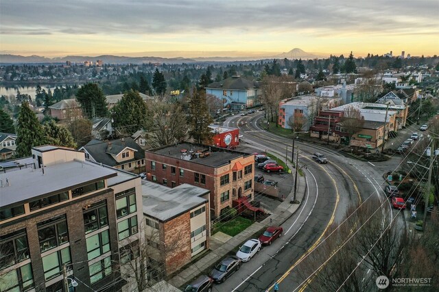 6801 Greenwood Ave N Unit 403, Seattle, WA 98103 - aerial view at dusk of a mountain view