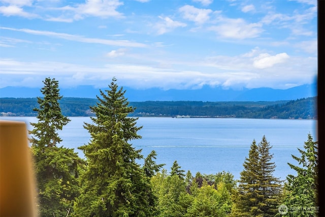 19212 94th Ave W, Edmonds, WA 98020 - water view featuring a heavily wooded area