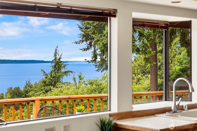 19212 94th Ave W, Edmonds, WA 98020 - water view
