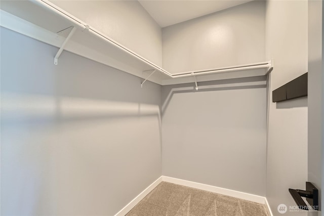 3540 S Graham St, Seattle, WA 98118 - spacious closet featuring carpet floors
