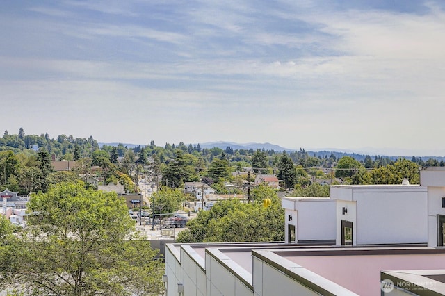3540 S Graham St, Seattle, WA 98118 - view of mountain background