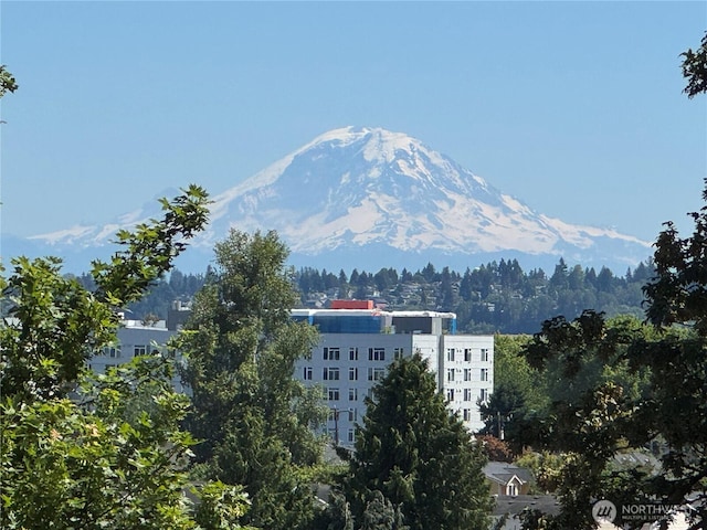 3540 S Graham St, Seattle, WA 98118 - photo 32