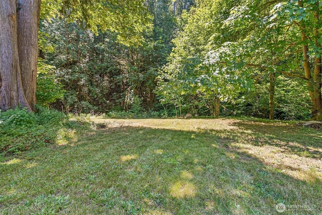 424 E Olde Lyme Rd, Shelton, WA 98584 - photo 1