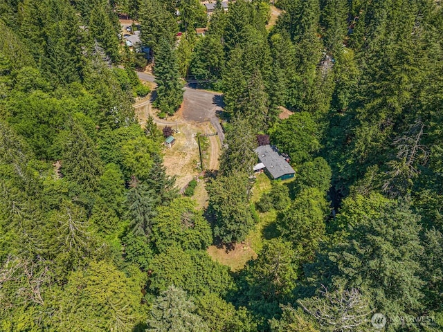 424 E Olde Lyme Rd, Shelton, WA 98584 - photo 12
