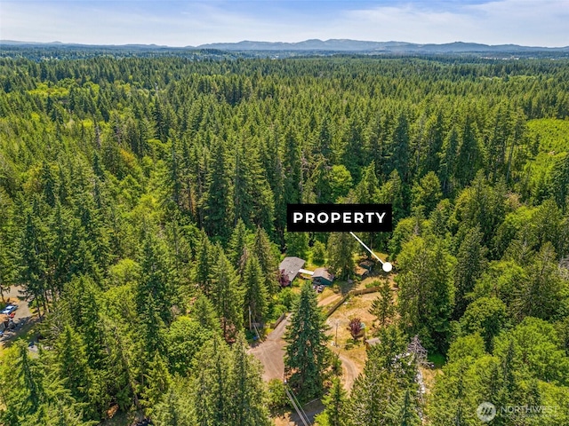 424 E Olde Lyme Rd, Shelton, WA 98584 - photo 13