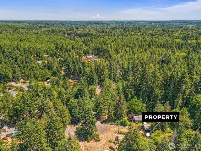 424 E Olde Lyme Rd, Shelton, WA 98584 - photo 14
