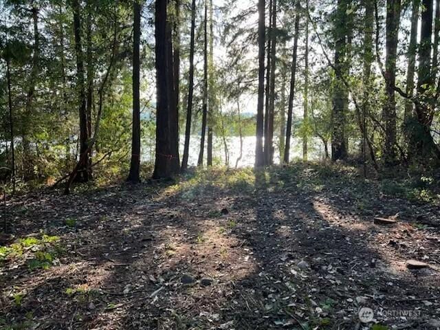18129 Sundown Ct SE, Yelm, WA 98597