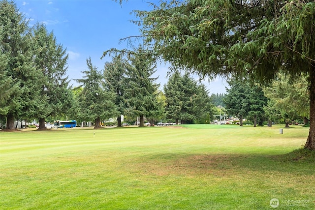 6017 W Sarazen St SE, Olympia, WA 98513 - photo 33