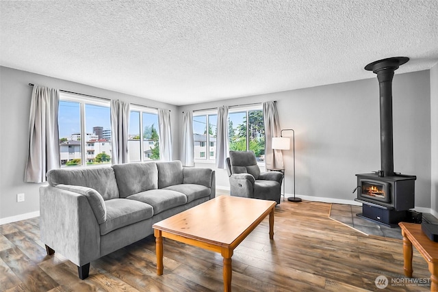 1612 33rd St Unit 102, Everett, WA 98201 - living room featuring a textured ceiling, wood finished floors, and a wood stove