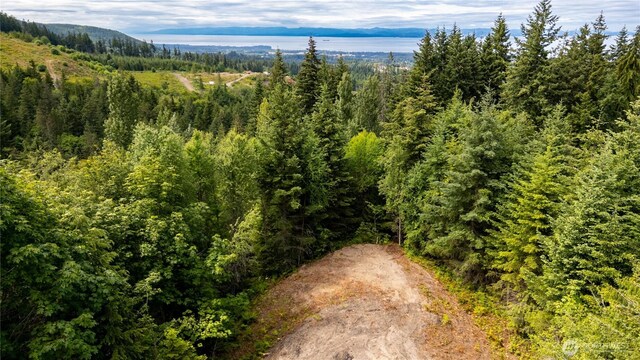 9999 S Old Mill Rd, Port Angeles, WA 98362 - photo 1