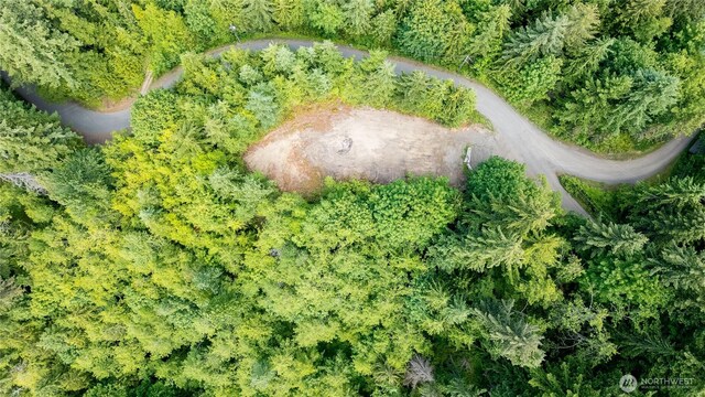 9999 S Old Mill Rd, Port Angeles, WA 98362 - photo 4