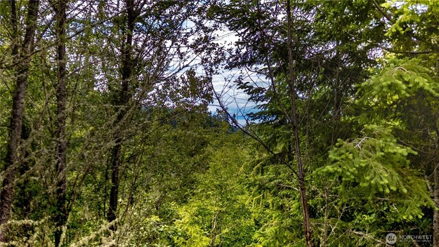 9999 S Old Mill Rd, Port Angeles, WA 98362 - photo 7