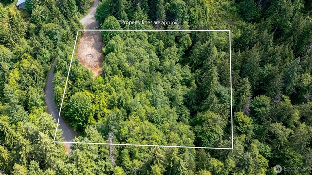 9999 S Old Mill Rd, Port Angeles, WA 98362 - photo 8
