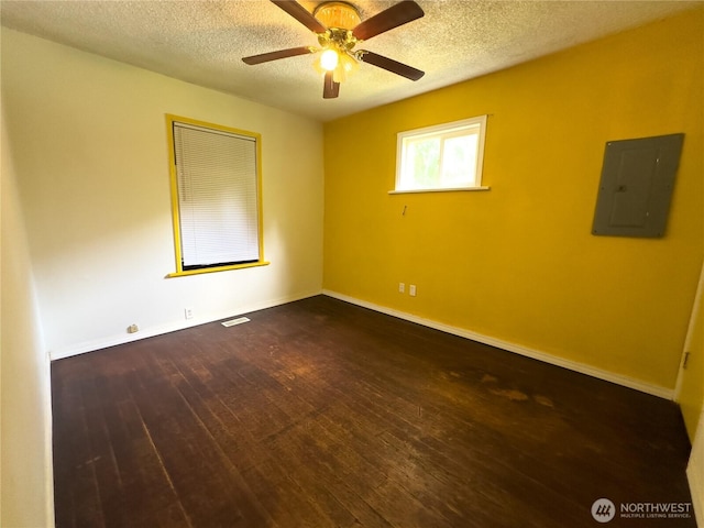 9059 Carkeek Dr S, Seattle, WA 98118 - photo 7