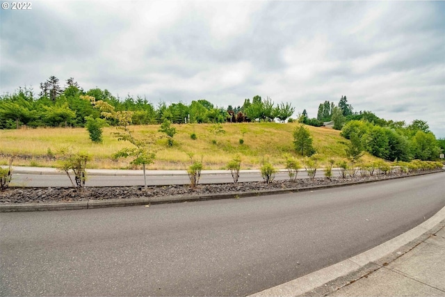 317 NE Bassel Rd, Vancouver, WA 98685 - photo 7