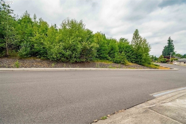317 NE Bassel Rd, Vancouver, WA 98685 - photo 8