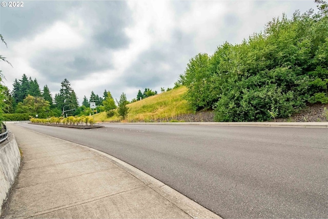317 NE Bassel Rd, Vancouver, WA 98685 - photo 10