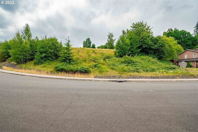 317 NE Bassel Rd, Vancouver, WA 98685 - photo 11