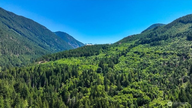 64193 E Cascade Dr, Marblemount, WA 98267 - photo 19