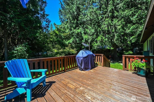 64193 E Cascade Dr, Marblemount, WA 98267 - photo 11