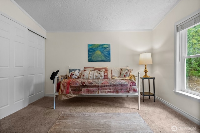 12543 Bear Track Ln SW, Port Orchard, WA 98367 - bedroom with carpet flooring, a textured ceiling, and crown molding