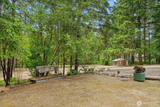 12543 Bear Track Ln SW, Port Orchard, WA 98367 - view of yard
