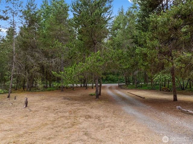 12543 Bear Track Ln SW, Port Orchard, WA 98367 - view of dirt / gravel road with a wooded view