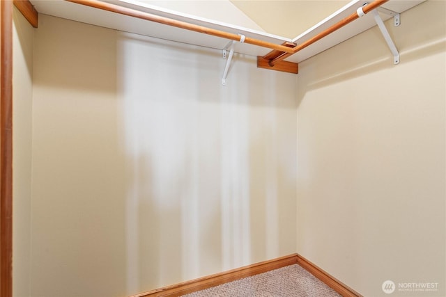 1007 N Forest St, Bellingham, WA 98225 - spacious closet with carpet floors