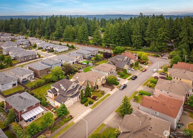 4403 216th Pl SE, Bothell, WA 98021 - photo 33