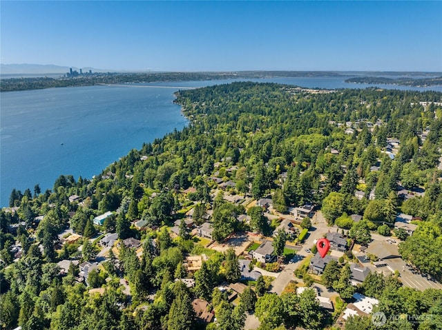 4710 86th Ave SE, Mercer Island, WA 98040 - photo 37