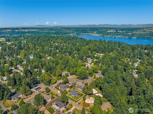 4710 86th Ave SE, Mercer Island, WA 98040 - photo 38