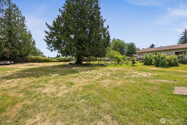 9317 214th Ave E, Bonney Lake, WA 98391 - view of grassy yard