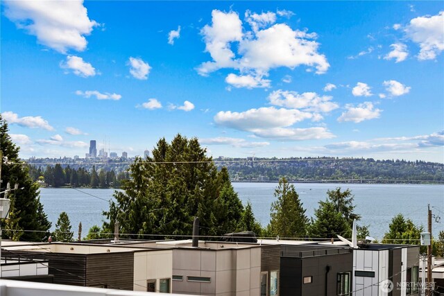 6304 Lakeview Dr, Kirkland, WA 98033 - photo 7