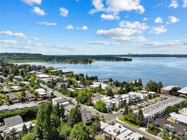 6304 Lakeview Dr, Kirkland, WA 98033 - photo 3