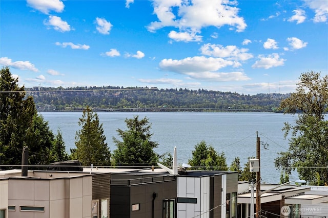 6304 Lakeview Dr, Kirkland, WA 98033 - photo 40