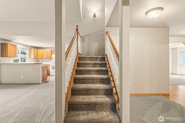 3724 30th Ave SE, Olympia, WA 98501 - stairway featuring carpet and recessed lighting
