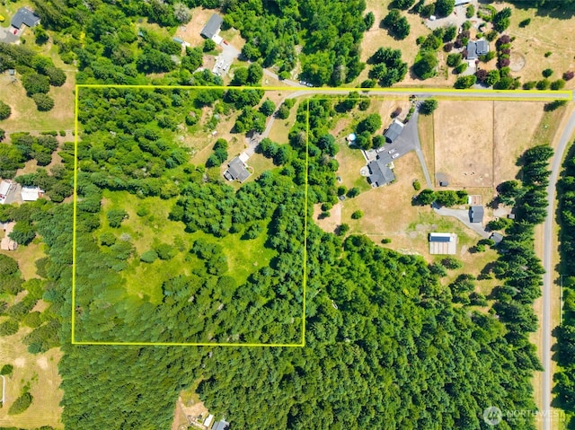 15642 159th Ln SE, Yelm, WA 98597 - photo 39