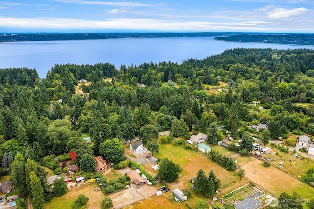 18115 Beall Rd SW, Vashon, WA 98070 - photo 3