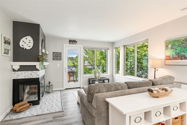 29 Etruria St Unit B505, Seattle, WA 98109 - living area featuring wood finished floors and a tiled fireplace