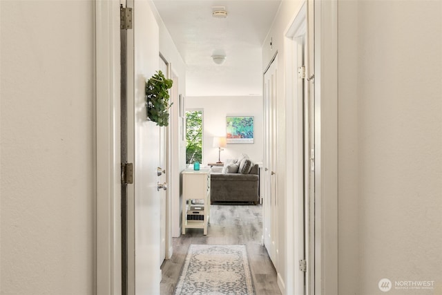 29 Etruria St Unit B505, Seattle, WA 98109 - hall with light wood-type flooring