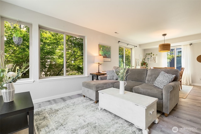 29 Etruria St Unit B505, Seattle, WA 98109 - living area with plenty of natural light and light wood finished floors