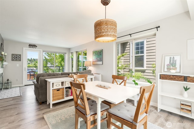 29 Etruria St Unit B505, Seattle, WA 98109 - dining area with light wood-style floors and baseboards