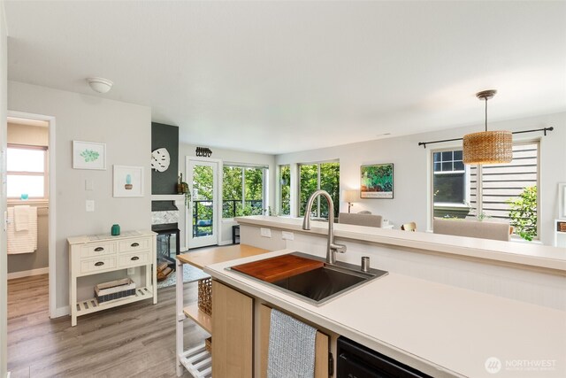 29 Etruria St Unit B505, Seattle, WA 98109 - kitchen with light countertops, plenty of natural light, and light wood-style flooring