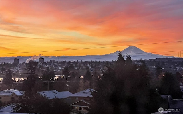 722 N 85th St Unit 41, Seattle, WA 98103 - mountain view