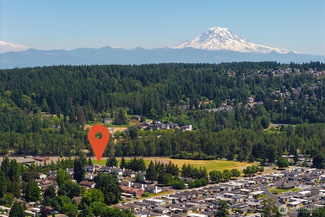 3834 D Pl SE, Auburn, WA 98002 - drone / aerial view of a heavily wooded area and mountains