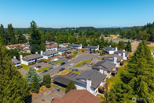 3834 D Pl SE, Auburn, WA 98002 - aerial view of residential area with a forest