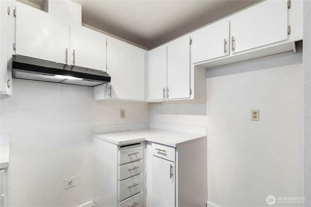 3834 D Pl SE, Auburn, WA 98002 - kitchen with under cabinet range hood, light countertops, and white cabinetry