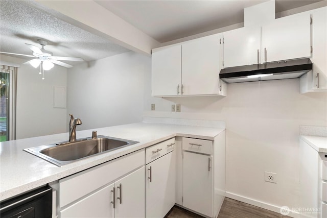 3834 D Pl SE, Auburn, WA 98002 - kitchen with under cabinet range hood, light countertops, a ceiling fan, dishwashing machine, and white cabinetry